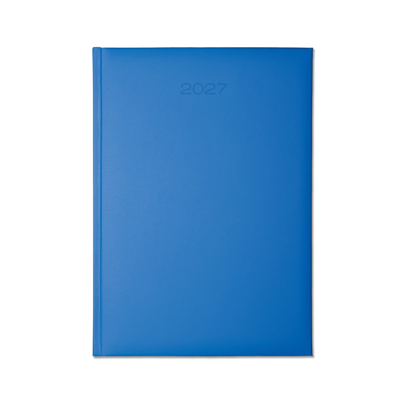 Lewes A4 Desk Diary, Day Per Page, Light Blue