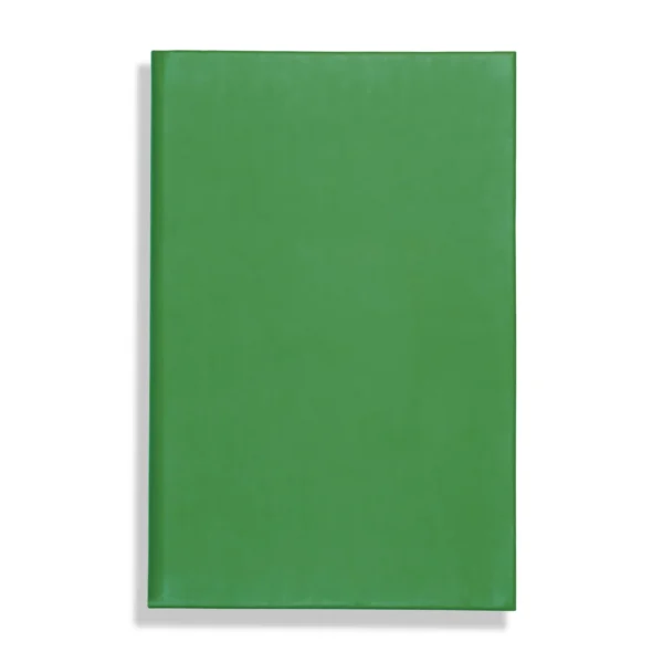 Apple Peel Eco A5 Notebook, Feint Ruled, Green