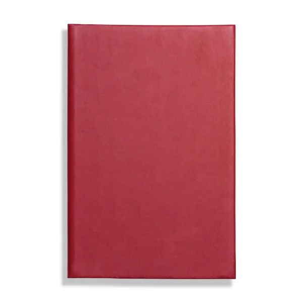 Apple Peel Eco A5 Notebook, Feint Ruled, Red